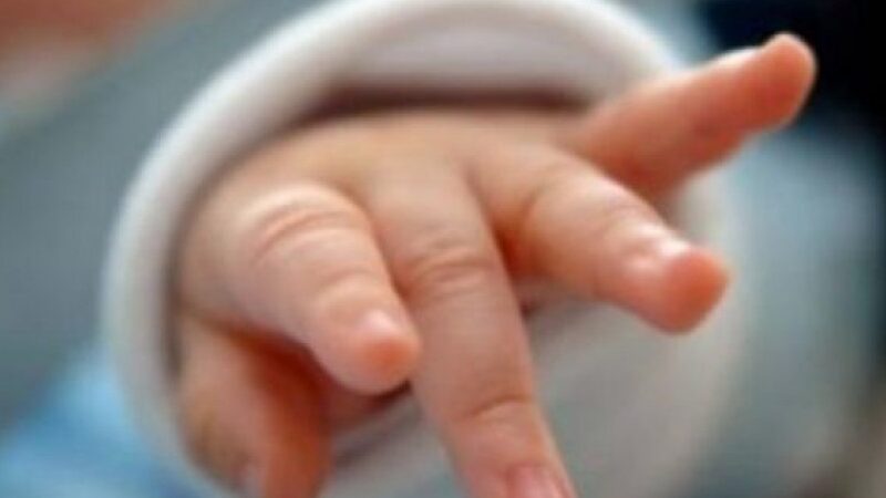 850x600 skandaloze 100 foshnje t euml vdekura brenda vitit n euml tetov euml hd 1200x630 1 600x3601697525048 1