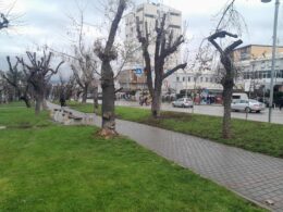 FB IMG 1770628936734