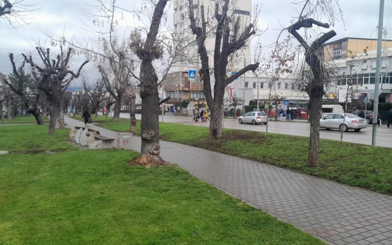 FB IMG 1770628936734