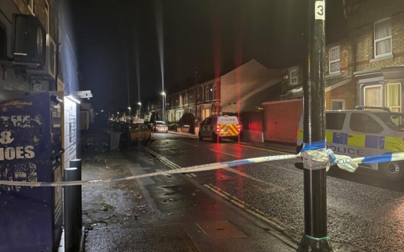 auto 195593691770398961