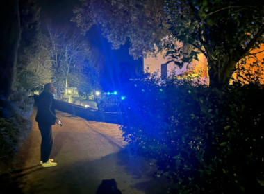 auto Screenshot 61771098084