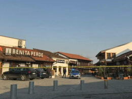 648736166 2402173270264286 529419595334733699 n