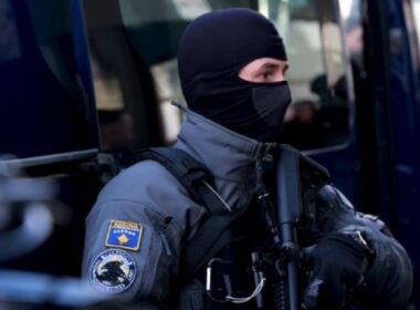 850x600 IMG 46451774174465