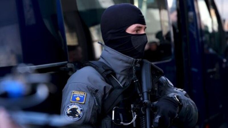 850x600 IMG 46451774174465