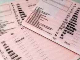 850x600 IMG 46621774282031