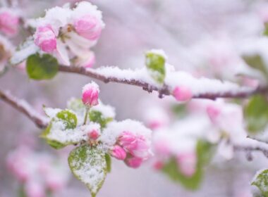 850x600 IMG 47071774540878