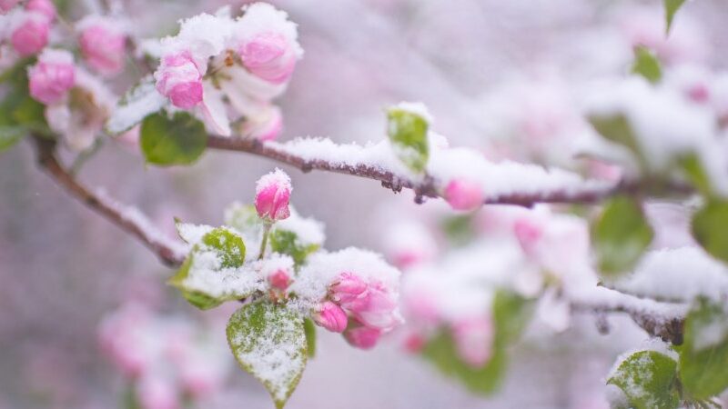 850x600 IMG 47071774540878