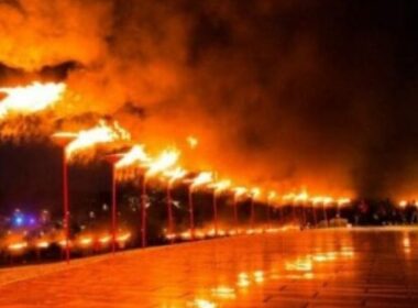 850x600 IMG 98111772906633