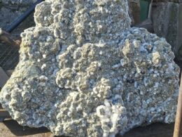 FB IMG 1772539274754