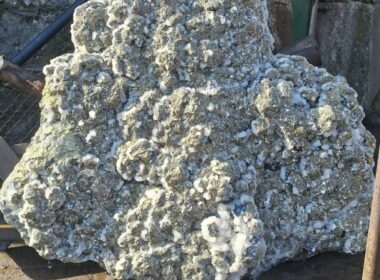 FB IMG 1772539274754