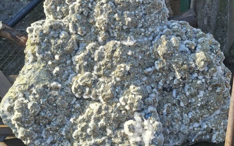 FB IMG 1772539274754