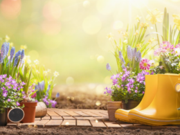 auto 640 0 1774765775xscreenshot 2026 03 29t082928577 7701774766708