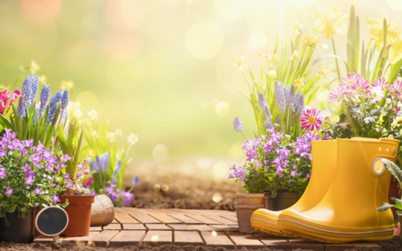 auto 640 0 1774765775xscreenshot 2026 03 29t082928577 7701774766708