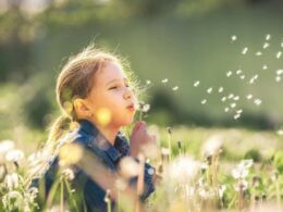 auto 640 0 a39d5ed2602cdc49a4091843e05a06b41772799576