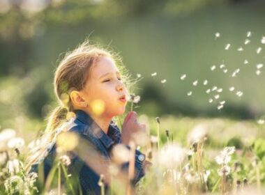 auto 640 0 a39d5ed2602cdc49a4091843e05a06b41772799576