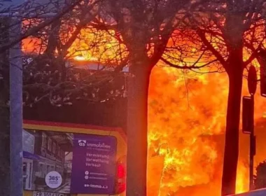 auto 214425329 5feb44b2 94c6 4feb b2e8 41b8509d88ee1773176589