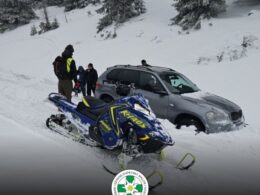 auto 653706467 966407135727064 1653303903971220664 n1773860194