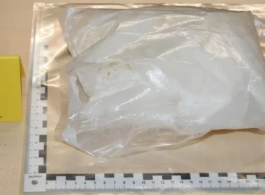 auto 915356bb 8f2e 49c4 bbb5 a27e810901961774033505