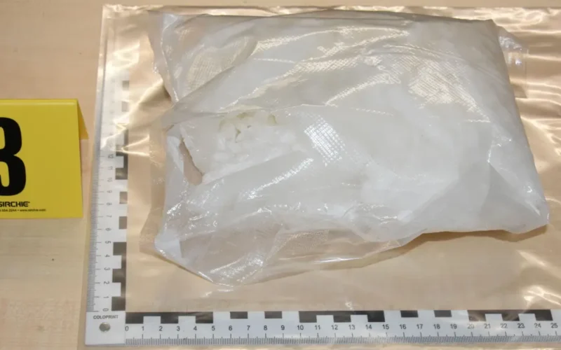 auto 915356bb 8f2e 49c4 bbb5 a27e810901961774033505