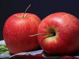 auto MOLLET1774358655