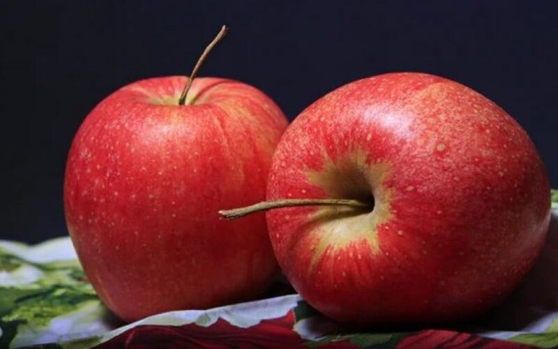 auto MOLLET1774358655