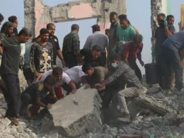 auto SHKOLLA1773307213