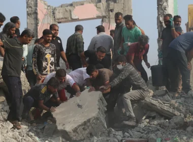 auto SHKOLLA1773307213