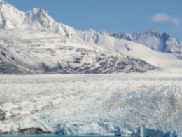 auto Screenshot 2026 03 26 0811101774509126