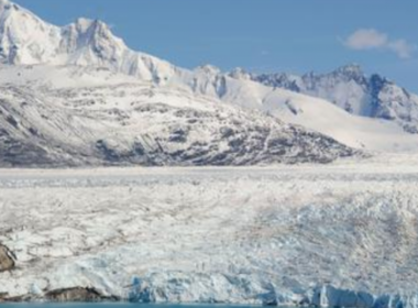 auto Screenshot 2026 03 26 0811101774509126