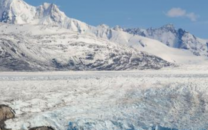 auto Screenshot 2026 03 26 0811101774509126