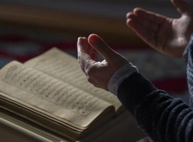 auto Screenshot 21774020763