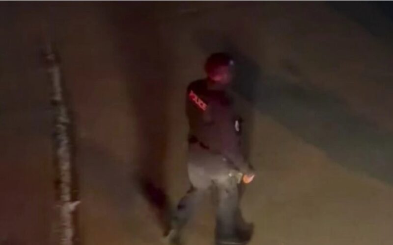 auto Screenshot 221774213221