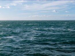 auto Screenshot 31774279557