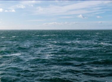 auto Screenshot 31774279557