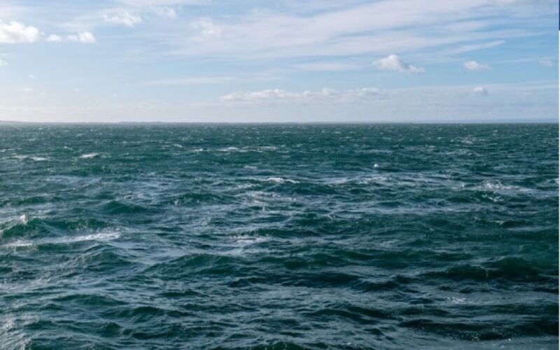 auto Screenshot 31774279557