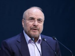 auto Screenshot 55 11774624053