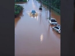 auto Screenshot 8 251774091990