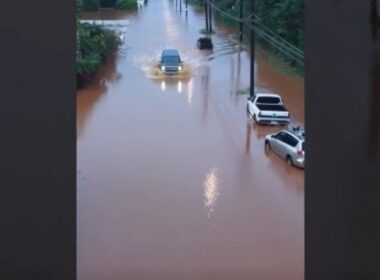 auto Screenshot 8 251774091990