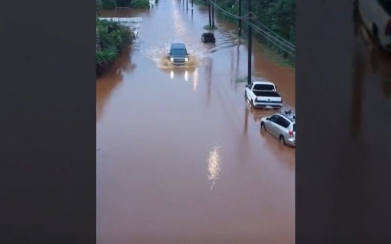 auto Screenshot 8 251774091990