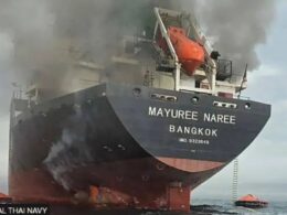 auto Screenshot 91773511211