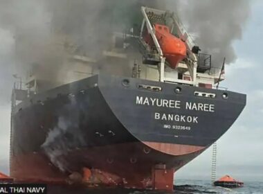 auto Screenshot 91773511211