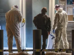 auto Untitled design 3 121773254025