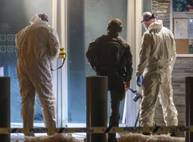 auto Untitled design 3 121773254025