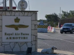 auto Untitled design 3 91773046772