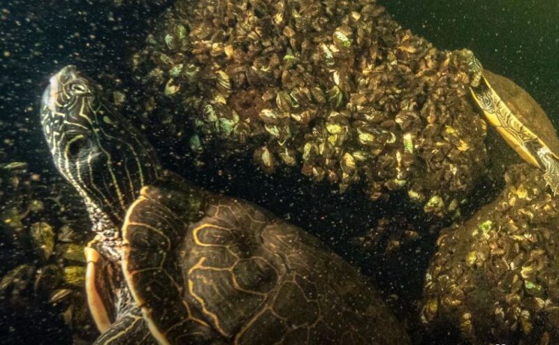 auto aweafgsgsrgsdg 11773497537