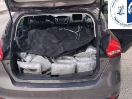 auto ded26596 b477 47c2 b3ee 4518aea462ad1773685586