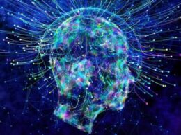 auto filozofi vetedija 2221525328299 696x445 11773037323