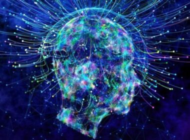 auto filozofi vetedija 2221525328299 696x445 11773037323