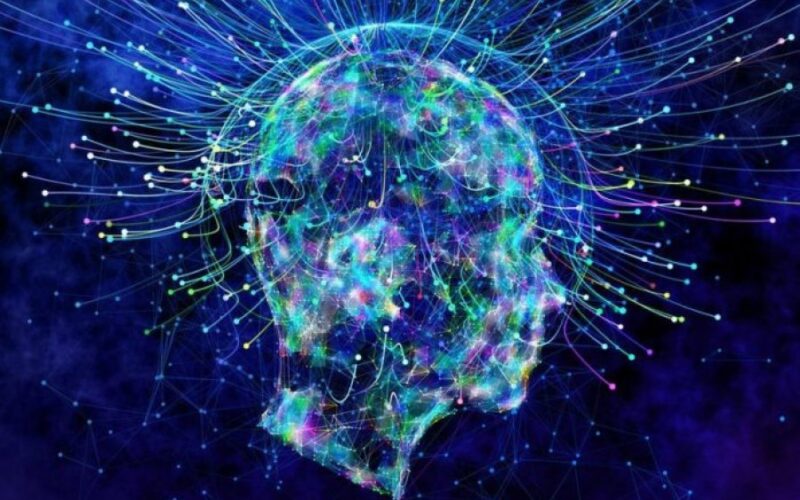 auto filozofi vetedija 2221525328299 696x445 11773037323