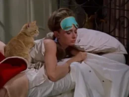 auto gjume 750x4061774895404 1